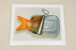 Art Grafts - Fish Can & Fish Can't - Two Prints