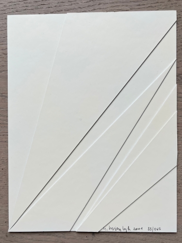 Gilbert Swimberghe - Monochrome Relief