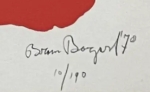Bram Bogart - Rood-groen