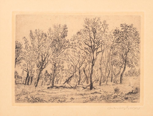 James Ensor - Groep bomen