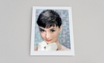 Art Grafts - Audrey Hepburn
