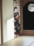 La Geisha et la Lune