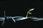 Banksy (attributed)  - Banksy (Attributed) 'Free Palestine Sculpture' w/Receipt (#0536)​