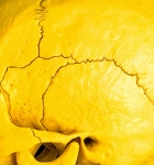 MR Strange Gitard - Death in Yellow