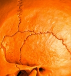 MR Strange Gitard - Death in Orange