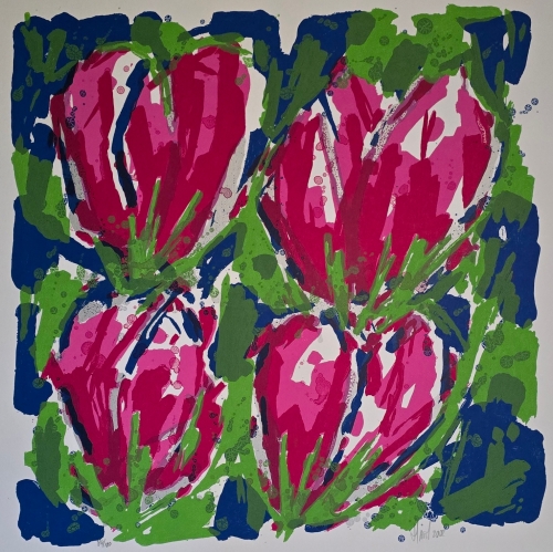 Ad Van Hassel - Ad van Hassel - Magenta Tulpen