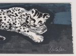 Yutaka  Sone - Seems like snow leopard