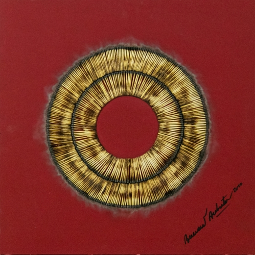 Bernard Aubertin - Dessin de feu circulaire