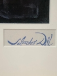 Salvador Dali - sans titre