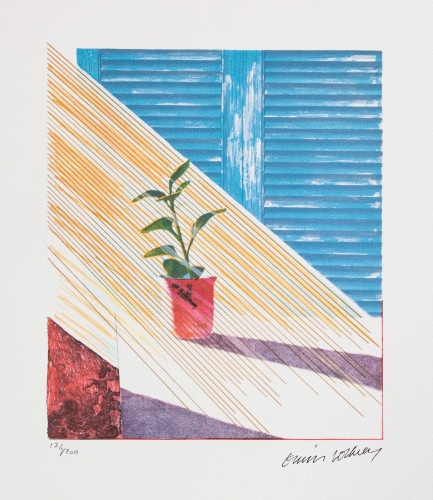 David Hockney - Zon