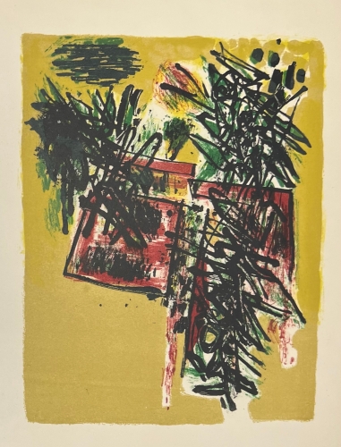 Guillaume Corneille - Antieke litho - Vlucht van vogels - 1960