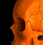 MR Strange Gitard - Skull in Orange